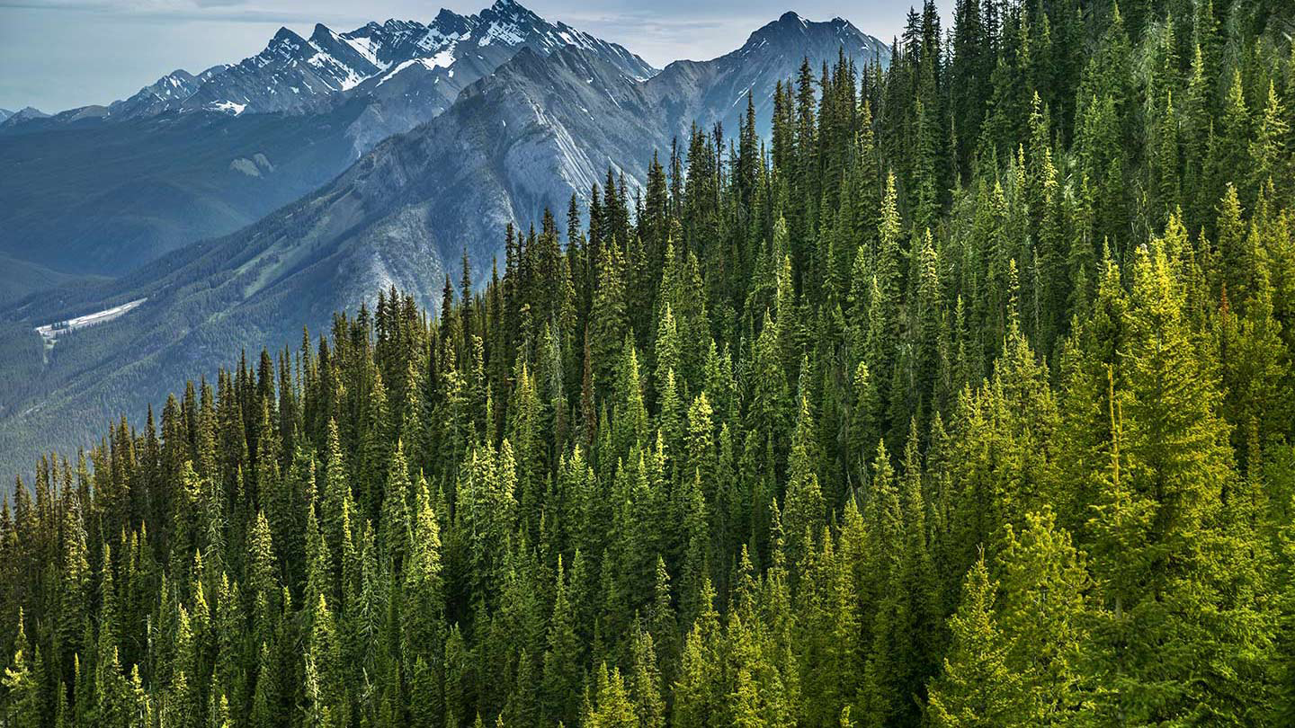 Sulphur Mountain in Banff, Alberta, Canada