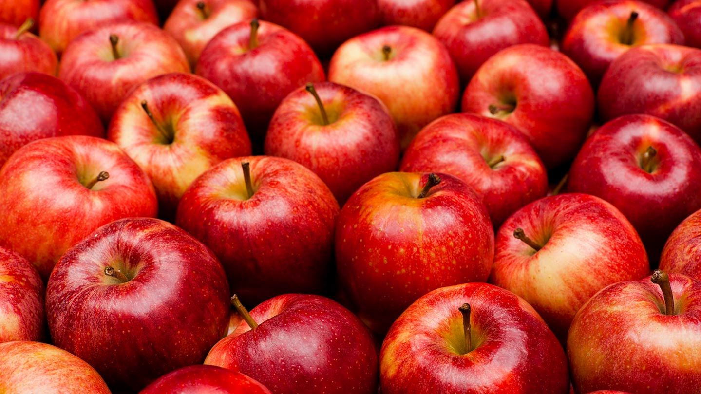 Controlled atmosphere storage of apples